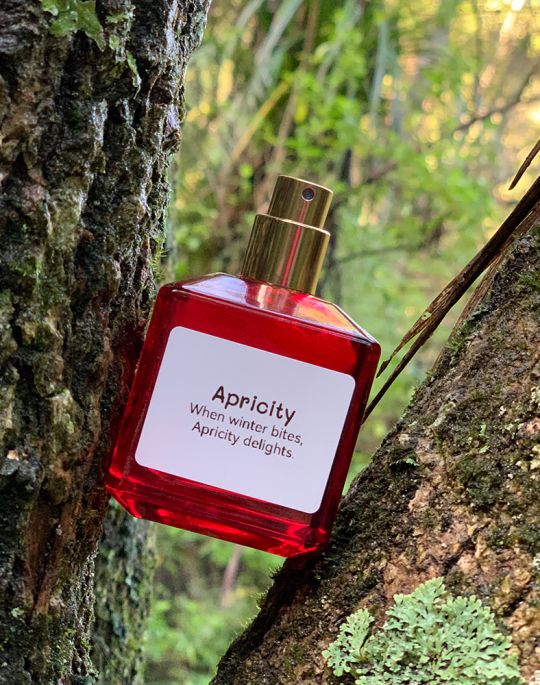 APRICITY 50ML