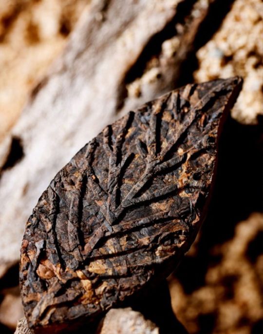 Mini Ripe Pu-erh Tea Leaf 7g